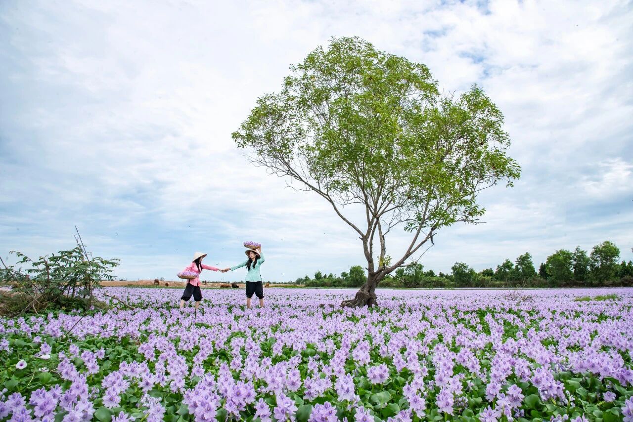 Seize the vibrant spirit of Long An Travel